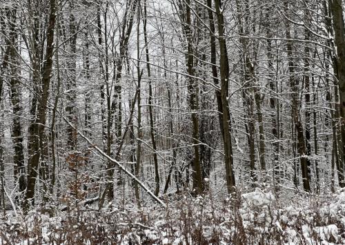 13:23:31 GMT-0600 (Central Standard Time).image