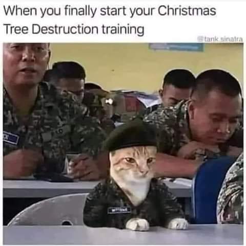 FB_IMG_1668941098058