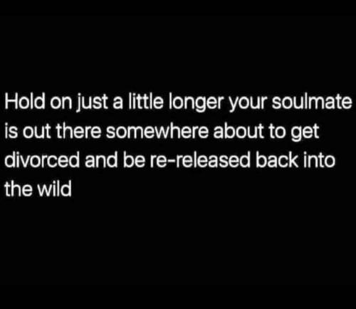 a6a34402-2aff-4624-af08-51179e68167d