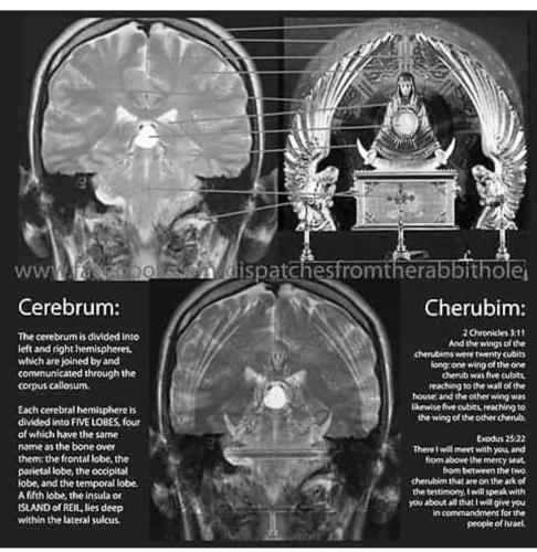 Screenshot_2022-11-26-08-33-21-17_1c337646f29875672b5a61192b9010f9