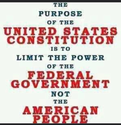 Constitution 1