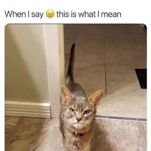FB_IMG_1667938636168