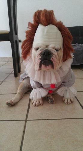 tumblr_7356ee14c26988c2bc15a106dd45ff20_c77cc685_640