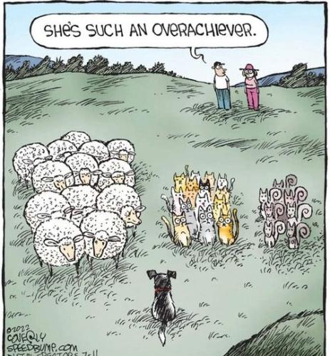 314896476_502357405270030_7893825903447520913_n