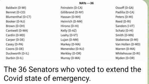 Screenshot_20221116_173915_Telegram