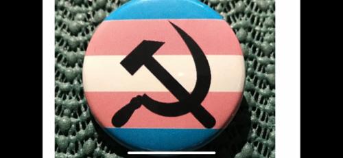 7E555816-2679-4ED2-BA55-925A0483E3E0