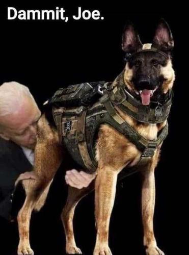 xephula_46f30bcd66c07f70c6f27e975a766ed9