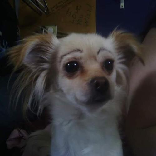 IMG_20210526_100231_134