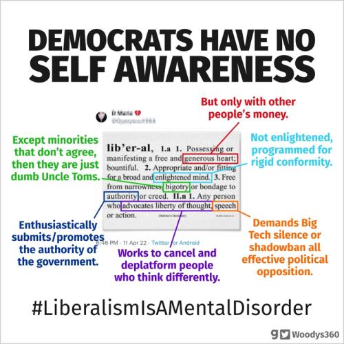 Liberalism is a Mental Disorder 1