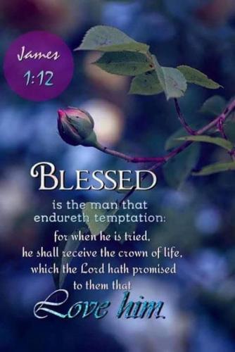 FB_IMG_1668868471510