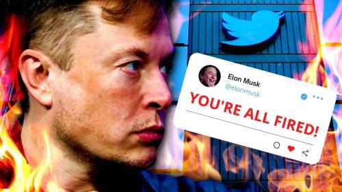 Elon Musk FIRES Board and Uncovers MASSIVE Twitter BOMBSHELL
