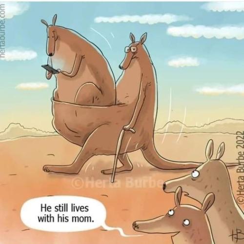 317446526_5748127751889784_6384831510362083717_n