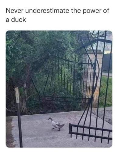 316667260_3389846768005398_7113898782197333450_n