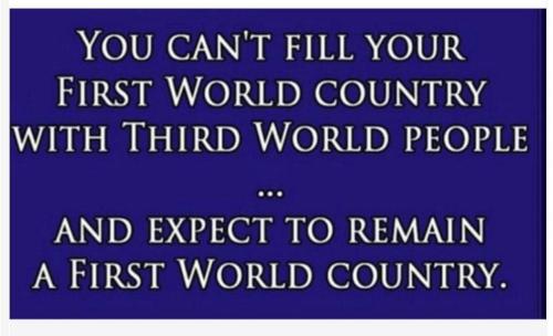 FB_IMG_1669260782482