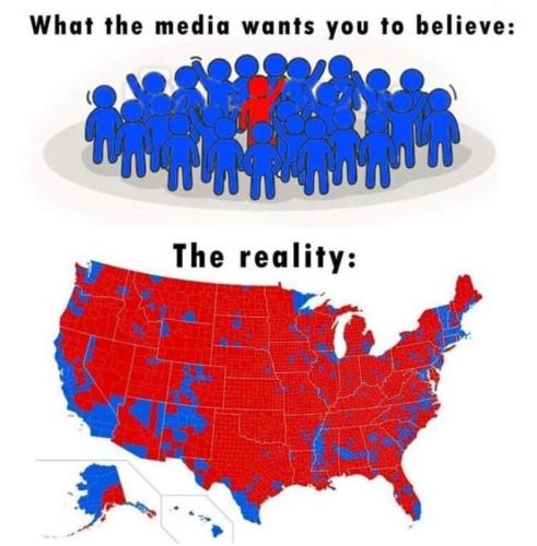 What the media wants you to believe vs. Reality