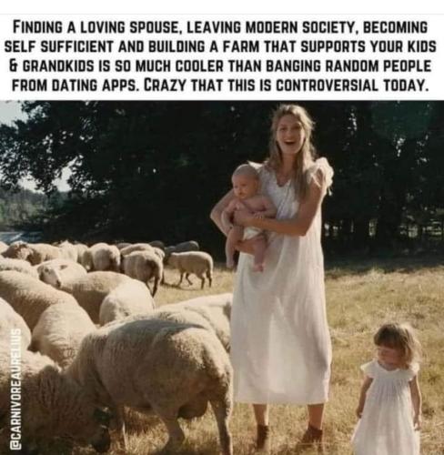 Screenshot_2022-11-11-00-23-07-78_1c337646f29875672b5a61192b9010f9