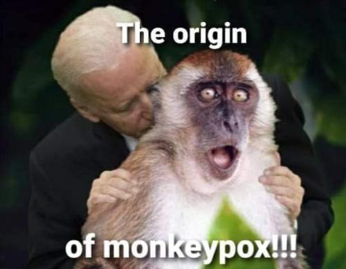 FB_IMG_1668917825684