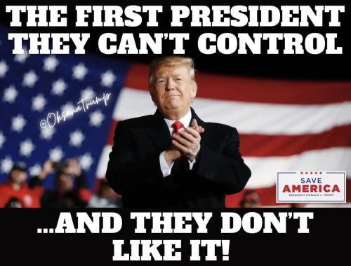 photo_2022-11-26_12-32-15