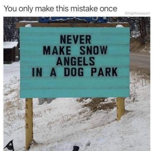 FB_IMG_1669575539107