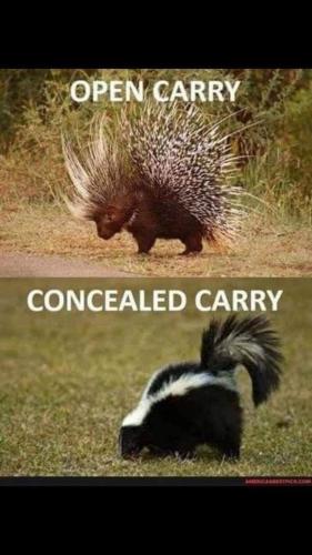 95b21a65-015e-4c49-9f3d-73ad1b2e201e