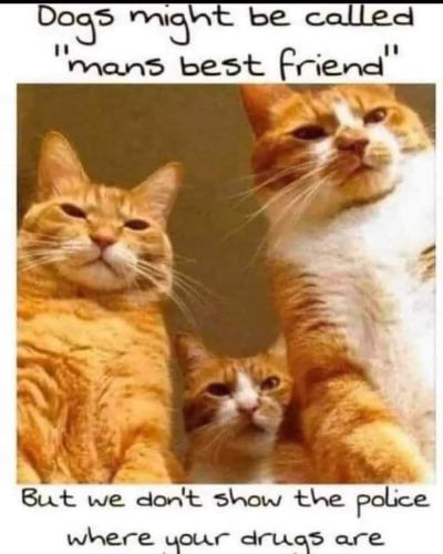 FB_IMG_1669243493965
