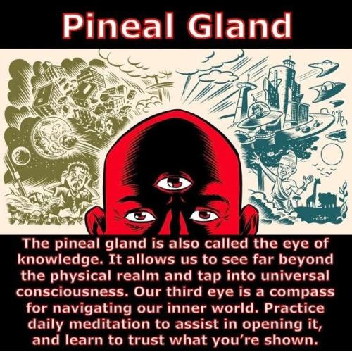 Screenshot_2022-11-11-03-28-09-51_1c337646f29875672b5a61192b9010f9