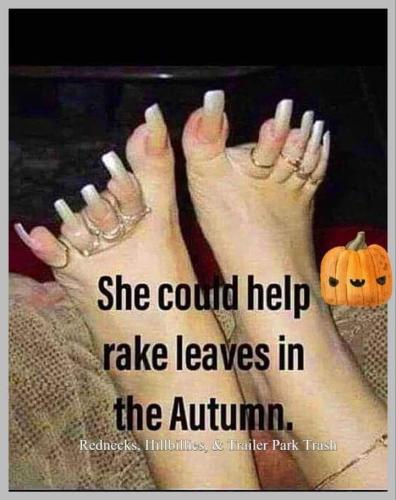 FB_IMG_1667939818233