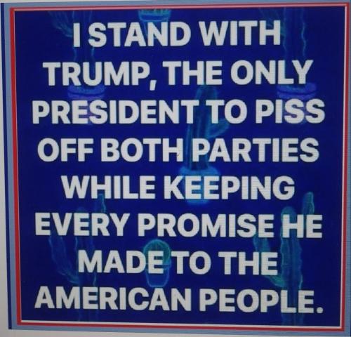 photo_2022-11-27_00-53-36