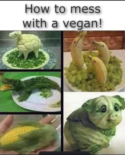 FB_IMG_1667668151661