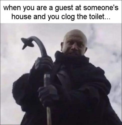 when you are a guest at someones house and you clog the toilet