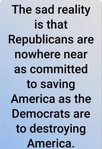 FB_IMG_1668970267507