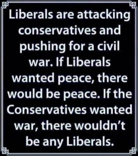 liberals313