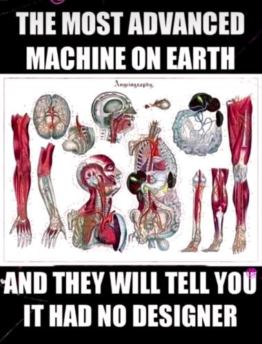 Screenshot_2022-11-24-21-46-51-31_1c337646f29875672b5a61192b9010f9