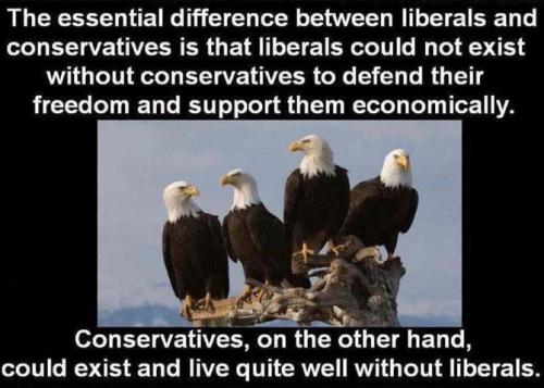 liberals315
