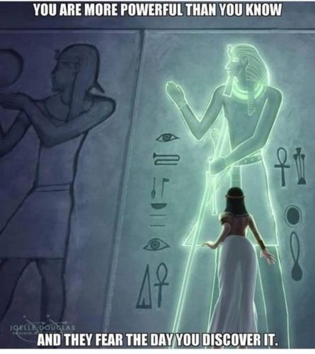 Screenshot_2022-11-11-03-18-44-70_1c337646f29875672b5a61192b9010f9