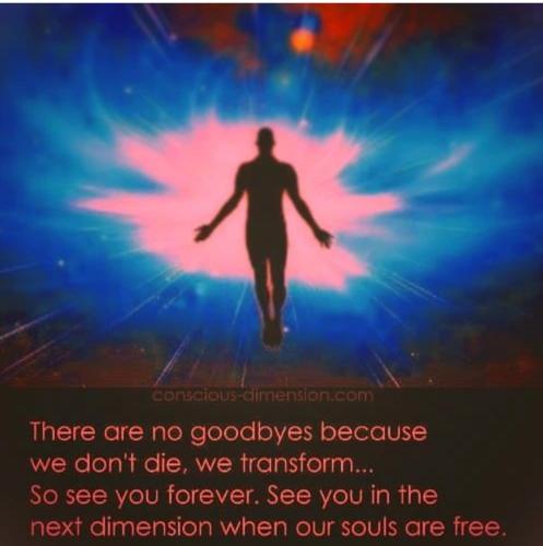 Screenshot_2022-11-07-17-34-05-29_1c337646f29875672b5a61192b9010f9