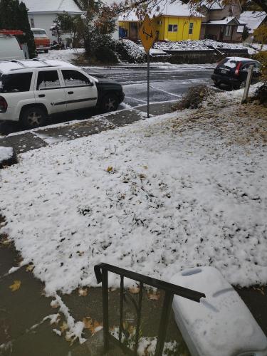 IMG_20221104_104403179