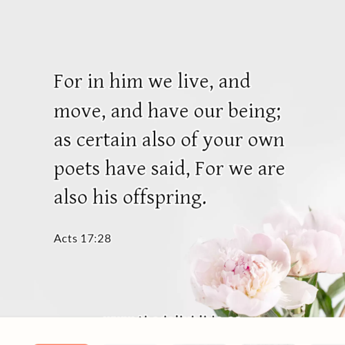 dailybible_20221108-033613_Acts_17-28