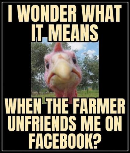 316546178_5733437243358835_7417655721648724808_n