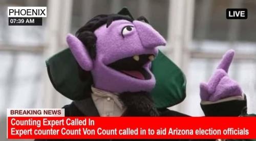 counting expert called in to aid Arizona election officials