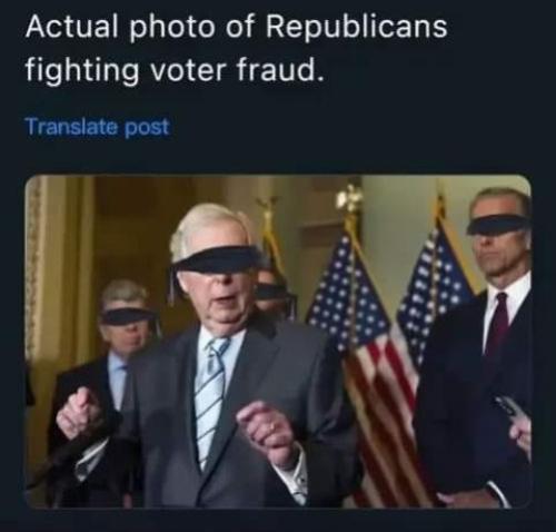 republicans fighting voter fraud