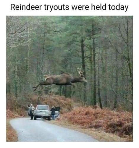 sngine_dd5d3880a0cefeb95135bcf2f832ca2e