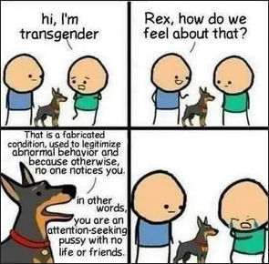 transgender255