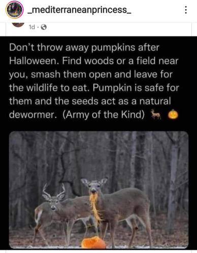 21:00:30 GMT-0400 (EDT)