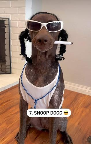 FB_IMG_1668136574811