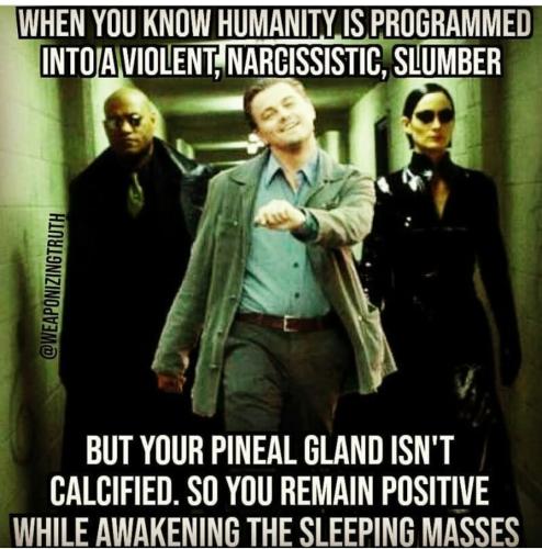 Screenshot_2022-11-26-08-24-55-23_1c337646f29875672b5a61192b9010f9