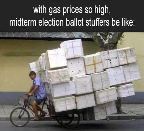 ballot stuffers be like