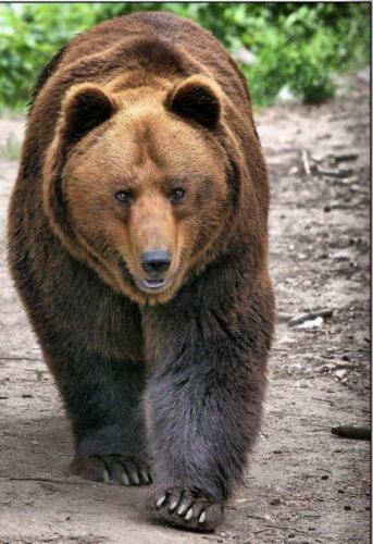 tumblr_824a633b926722c178cc06201db61249_3704c10d_540