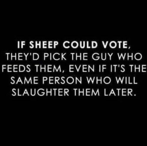316244417_134712689372389_191357811020738230_n