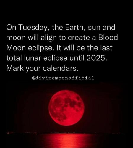 photo_2022-11-07_22-17-10